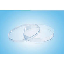 Plat de Petri en plastique 140 * 15mm